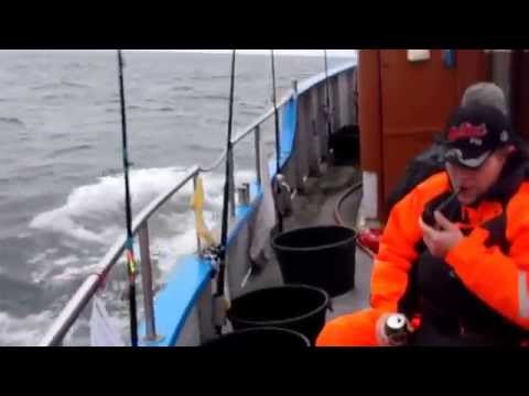 Fladfisktur med Brost (Spin-Ind)