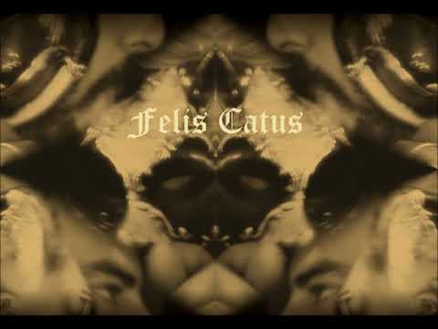 Felis Catus - Previously On Somewhere (Full Album 2019)
