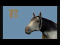 Moon Raven Tales Bess