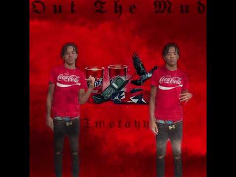 Gdareap Tayshred2x Horse Tmo Tayy - Static