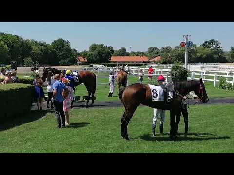 100.galopp Derby nap - Nyári gátverseny: Sambo és a többiek