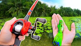 Fishing a Frog for Pond MONSTERS!