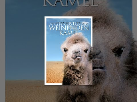 Die Geschichte vom weinenden Kamel
