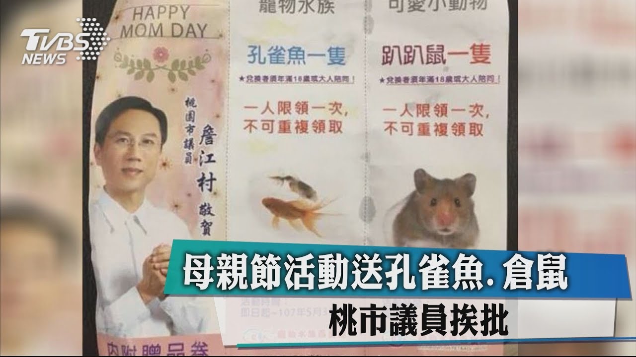 母親節活動送孔雀魚、倉鼠 桃市議員挨批