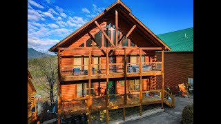 950 Black Bear Cub Way