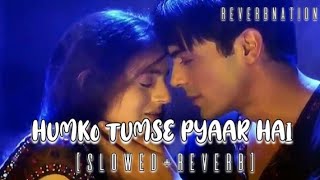 Download lagu Humko Tumse Pyaar Hai | (Slowed & Reverb) | Alka Yagnik | Kumar Sanu | ReverbNation || mp3