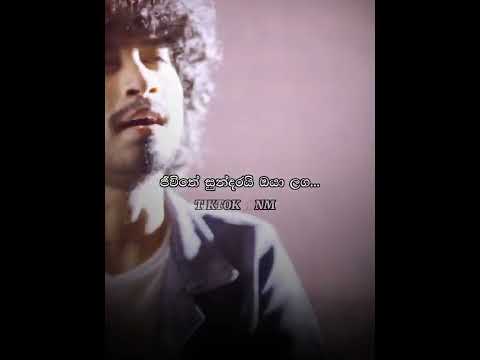 Ehemath Adarayak ❤️ #ehemathadarayak #amishaminol #music #tiktok_knm #lyrics #trending