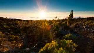 Cidade Negra - Errare Humanun Est(Jorge Ben Jor) HD