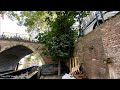 Oudste stadsvijg van Nederland groeit op Utrechtse verwarmingsbuis [RTV Utrecht]