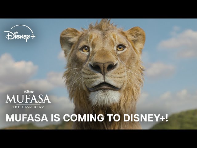 On Disney + March 26