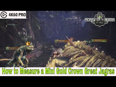 Monster Hunter: World - How to Measure a Mini Gold Crown Great Jagras Video
