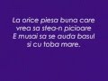 Viţă de vie - Basul şi cu toba mare ( lyrics ) 