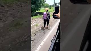 Download lagu JOKO KENDIL NAIK MACAN PUTIH || DEDE INOEN NAIK KUCING ALBINO ‼️ #shorts #jokokendil #dedeinoen mp3