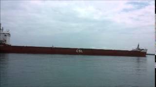 preview picture of video 'Freighter Birchglen, St  Clair River, Marine City, Michigan'