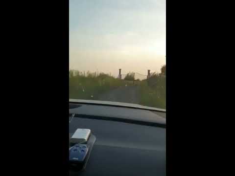 „Ferma invizibilă” a familiei DINCĂ, din satul Camna (Șilindia, Arad)