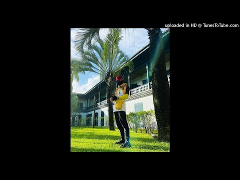 (FREE) Sidoka x Mc Igu x Japa Type Beat "NIGHT'S LADY" - @prod.vinx