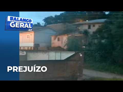 Família tem casa destruída por Araucária que ficava no terreno vizinho e desabou