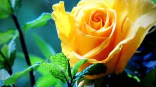 Luna de abril - Carlos Cano