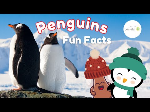 🐧 Penguin Facts for Kids | Fun Learning Educational Video