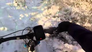 Test Falk Geo Tiger 2D