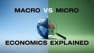 Macro vs Micro Economics EXPLAINED (For Beginners)