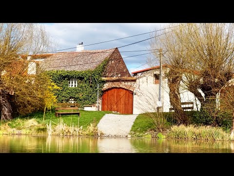 Introducing of Statek Pazderna | Prague, Czech republic