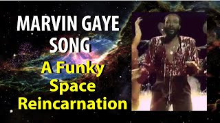 Marvin Gaye A Funky Space Reincarnation