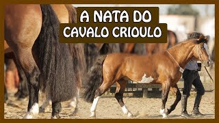 Miniatura do vídeo