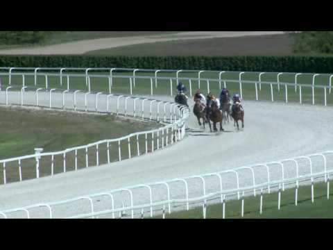 2017.04.23. 5. futam - GRÓF HUNYADY JÓZSEF EMLÉKVERSENY HENDIKEP (II.o.) (szintetikus pálya)