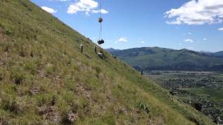 Helicopter Rising.mpg