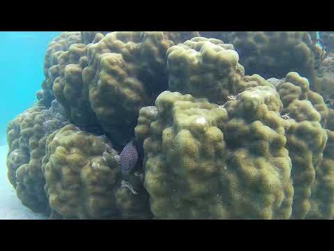 Highlights 22.08.2023