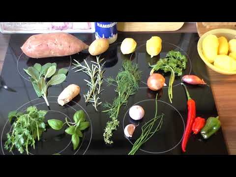 Warenkunde über Kräuter und deren Verwendung und sie zu trocknen, Hausmannskost,