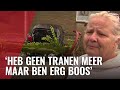Joke alweer de dupe van boom die op auto valt door boom
