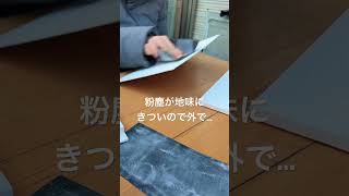 キャンバスやすった #日記 #vlog