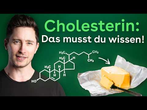 Cholesterin einfach erklärt: Was du über LDL & HDL wissen solltest