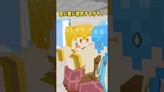 【マイクラアニメ】飛行機が怖い理由 #すとぷり #anime #マイクラ #すとぷり10周年