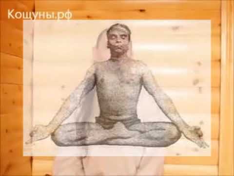 A  V  Trechlebov   Wie löst man das Problem der Selbstbefriedigung