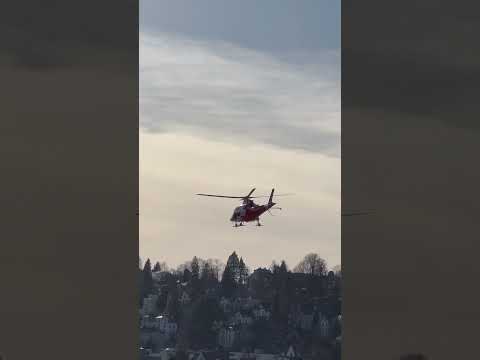 Regahelispotter Pipo St.Gallen Switzerland
