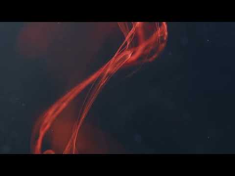 Kontakt feat. Toddlah - Riddems