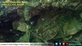 preview picture of video 'Bat Cave (Tapen Penru), Padi Village.'
