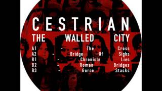 Cestrian - Roman Bridges