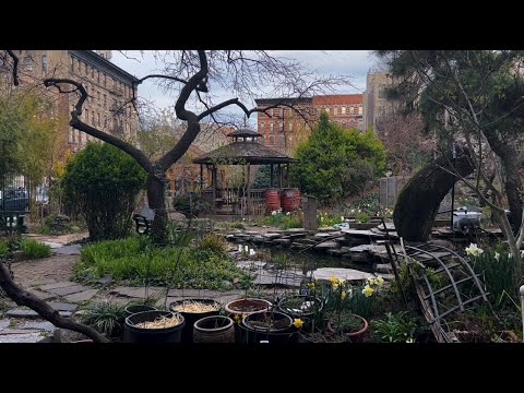 Compost, the stuff of life