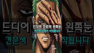 드디어 시작되는 조로의 왼쪽눈 각성은 견문색의 심안입니다