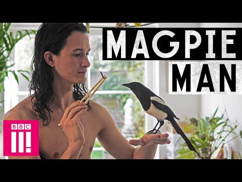My Unusual Life | The Man Who Lives With a Magpie
