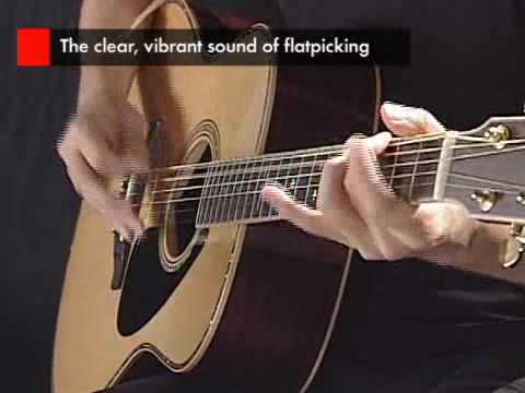 Yamaha LS16ARE [Brown Sunburst]