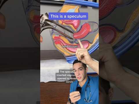 THIS is what happens in a Pap smear