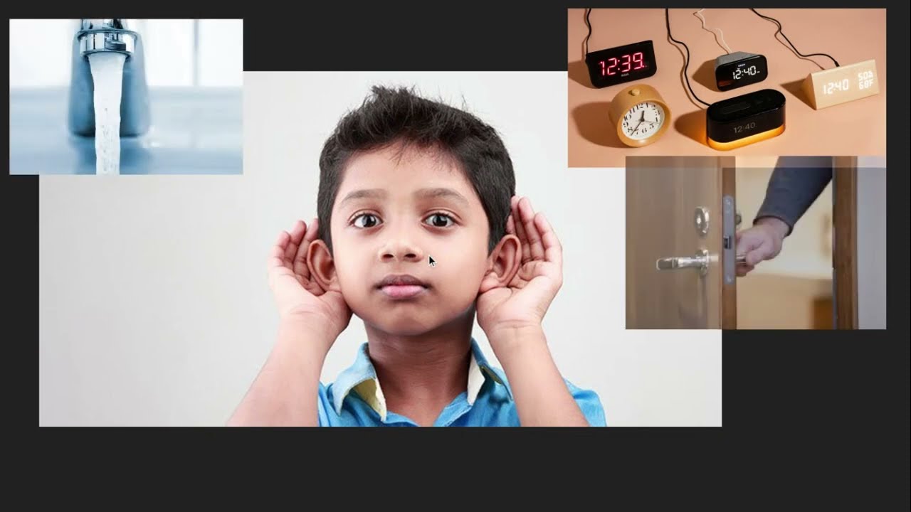 Unit 3 Lesson 11 Hearing