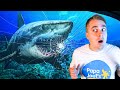 Ocean Animals For Kids Aquarium Adventure