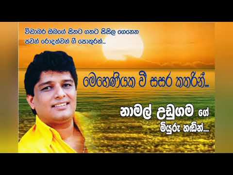 මෙහෙණියකවී සසර කතරේ...Meheniyaka wee sasara kathare...(Namal udugama)