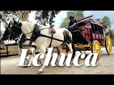 Thumbnail for Week 12. Echuca, including paddlesteamers, Holden Museum, Billabong Ranch and more!
